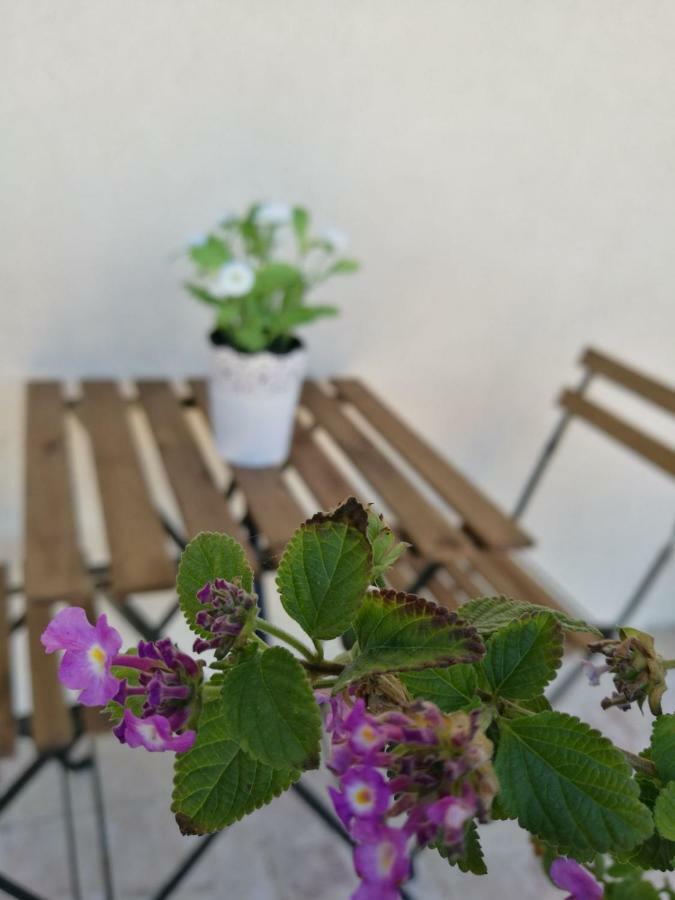 Apartment A Casa Di Ida