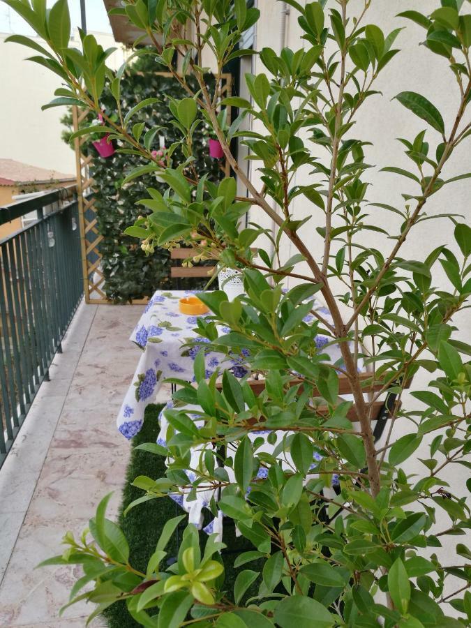 A Casa Di Ida Apartment *